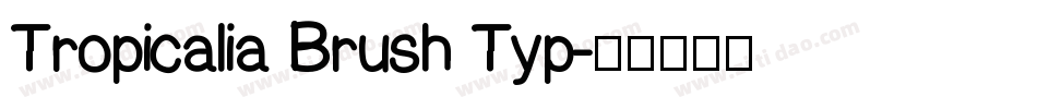 Tropicalia Brush Typ字体转换